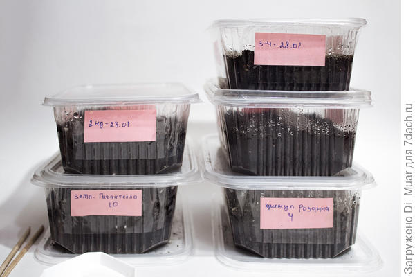 Зима - время просыпаться :)