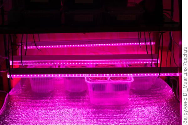 Стало посветлей