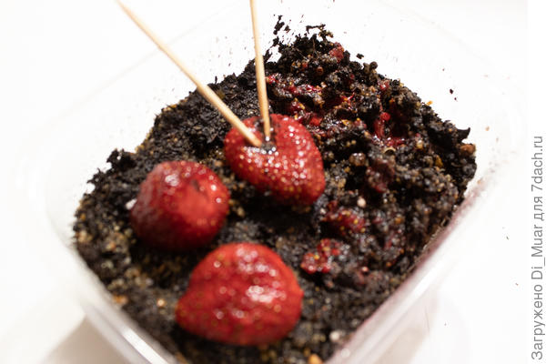 Клубничная мешанка для посева)) 31.01.23