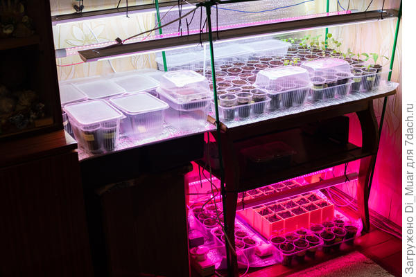 Инкубатор для малышей