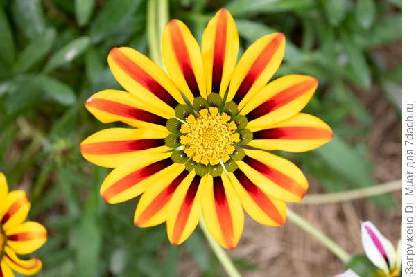 Мы вас любим :)