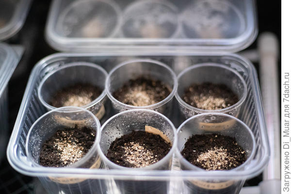 Грунт ИП Ткаченко универсальный + капля вермикулита