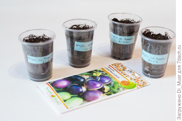 Сливовый джем - Русский огород