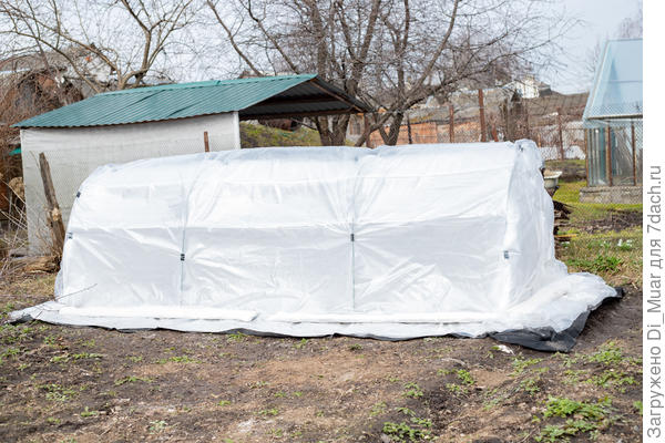 Лена построила тепличку. Счастлива :)