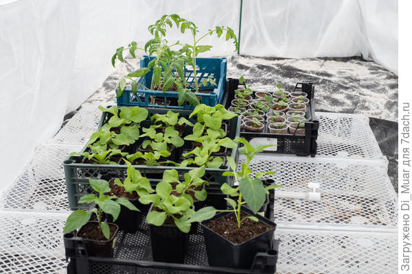 Тестируем новый домик :)