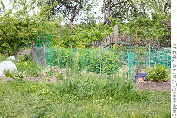 И ещё полянка)) Фото: 14.05.23