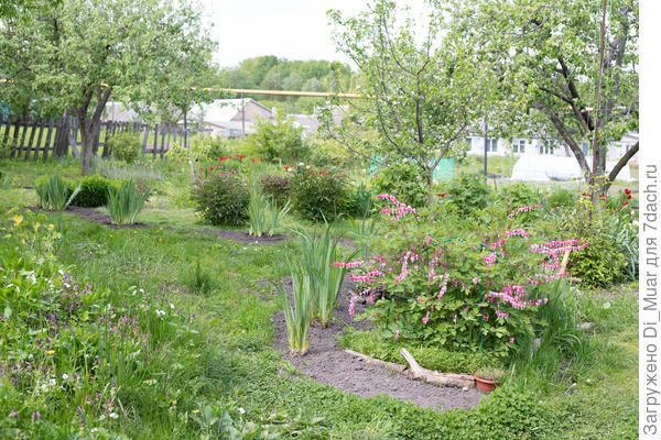 Ещё полянка. Фото: 14.05.23