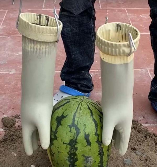 Из перчаток сделаем руки