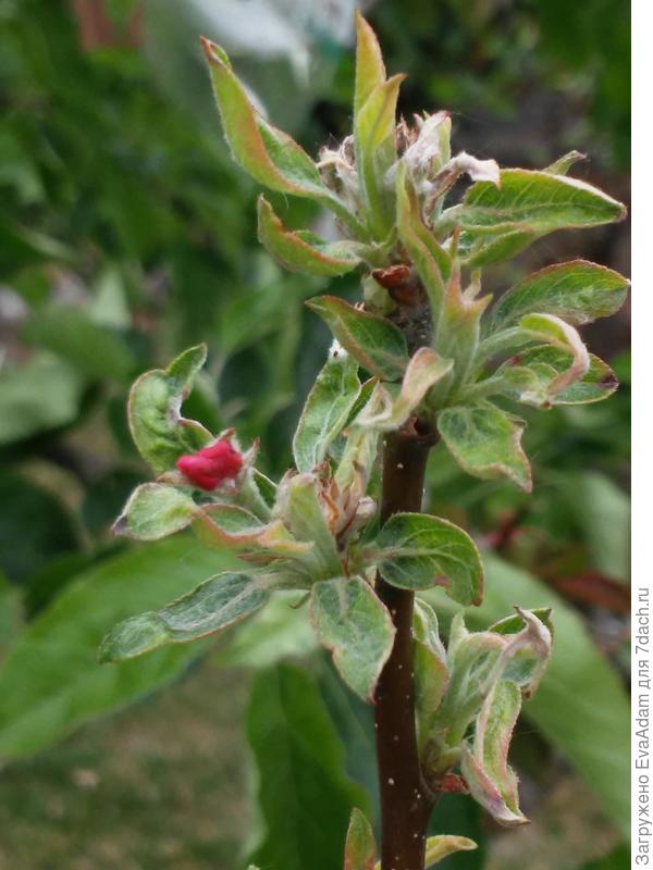 Вот так выглядит сегодня. )