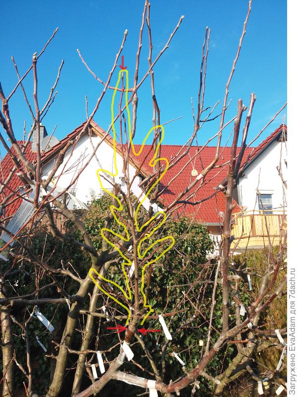 состояние на 13.01.2020