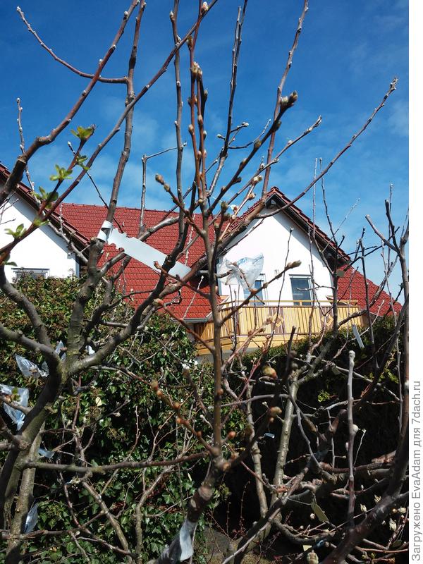 состояние на 30.03.2020