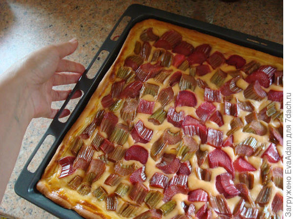 пирог из ревеня