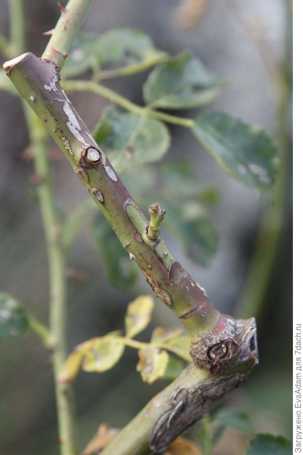 используется и такой материал...)