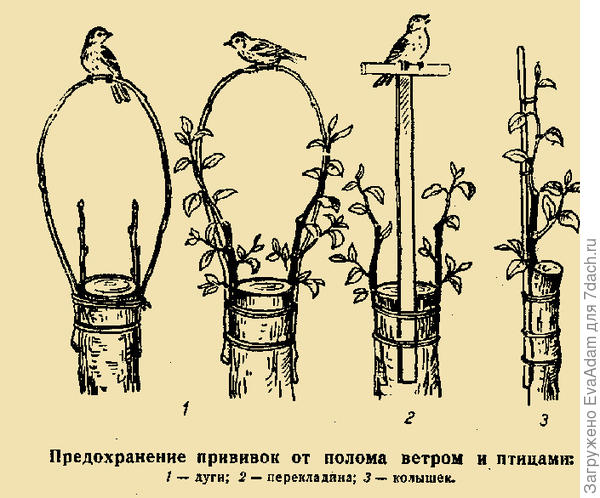 рисунок с сайта landart.ru