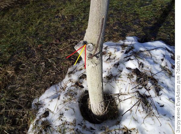 красный угол делим биссектрисой )