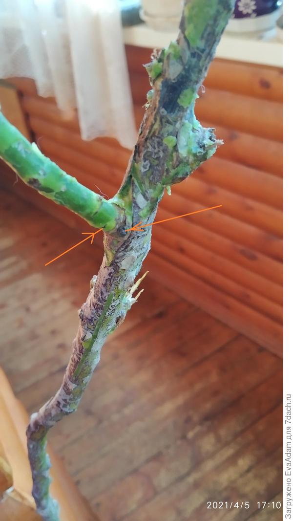 из таких мест тоже