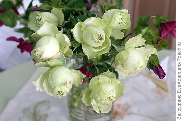 С Днём рождения, Андрей! Желаю Вам всех благ!