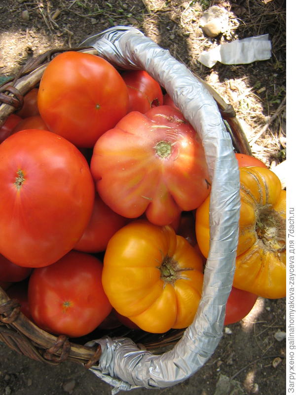 Это в город на переработку