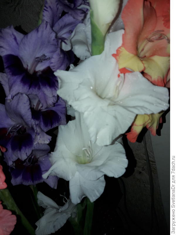 Это уже в срезке.