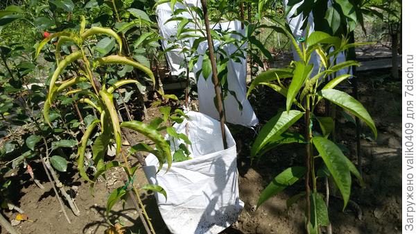 рядом с ним