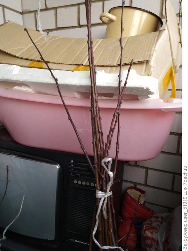 Это тоже непонятно