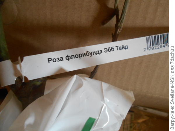 ллл