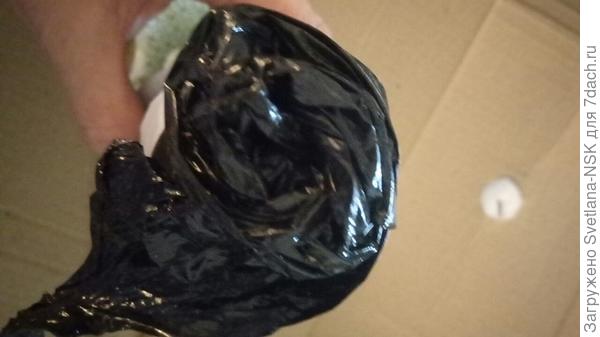 В упаковке даже отверстия не было, откуда должен был, по идее, торчать побег малины. Он просто валялся в коробке...