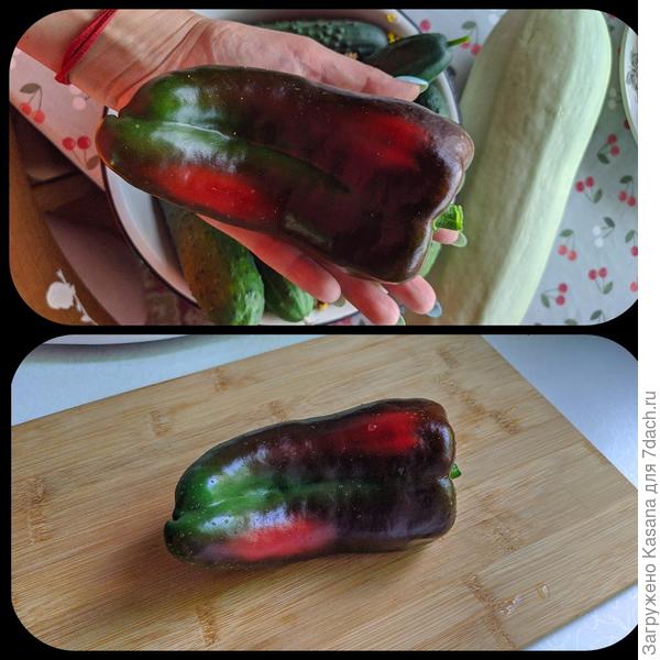 Перец сладкий