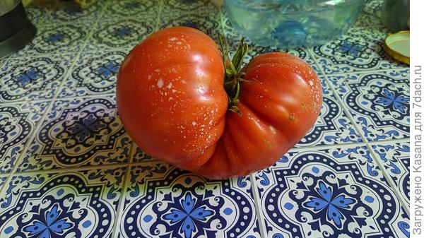 томат Розовый статус