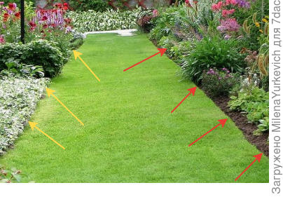 Ровный край газона