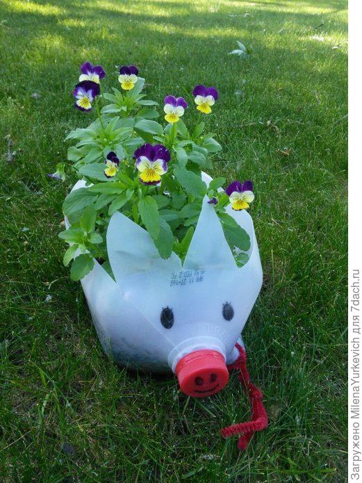 Кашпо из подручных материалов
