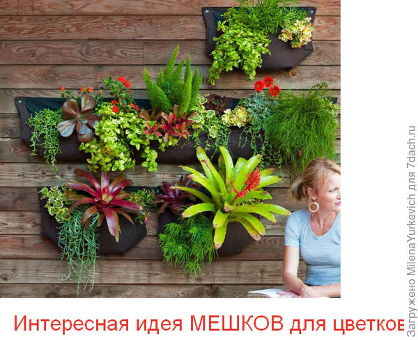 Кашпо из подручных материалов