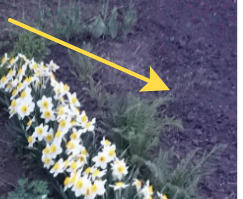 Абсолютно ухоженная земля