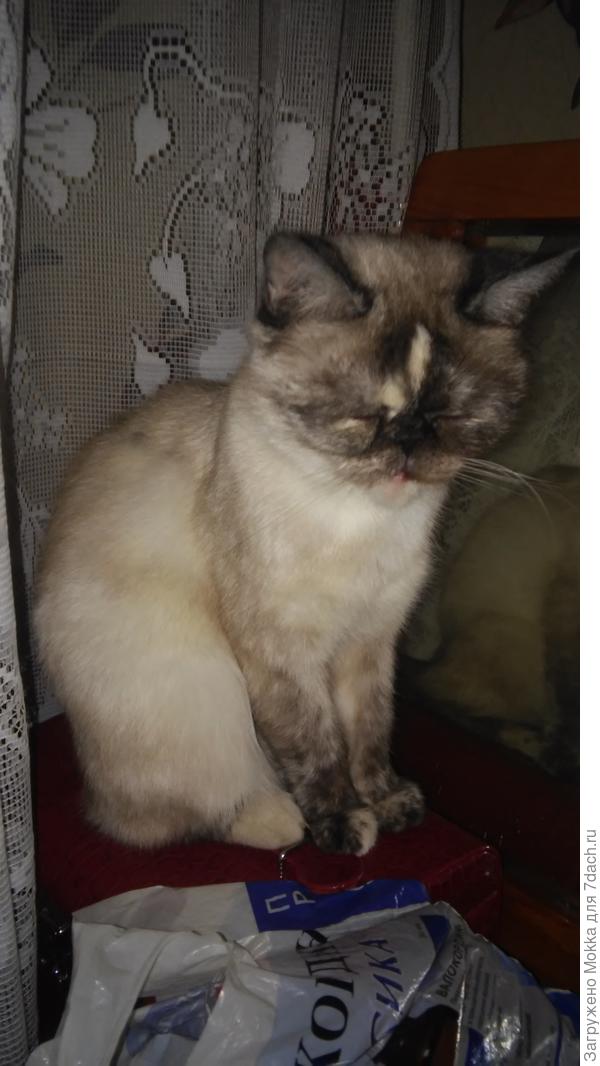 и зажмурилась...потому что нельзя быть на свете красивой такой :)