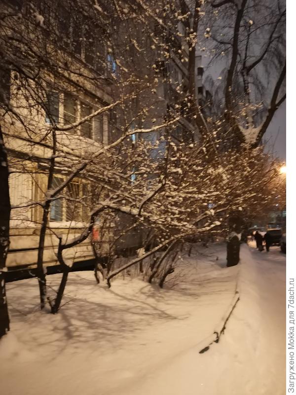 Ночь, улица, фонарь...