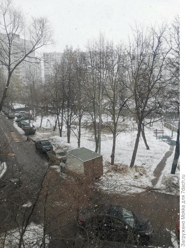 22 марта - идёт снег большими хлопьями.