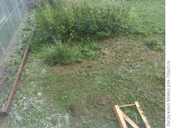 А град как выпал так потом ещё час не таял лежал. Где тёплые летние дожди для урожая?