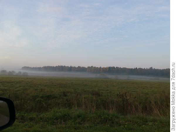 Унылая пора, очей очарование. Утро 03.10. Плюс один. Московская область.