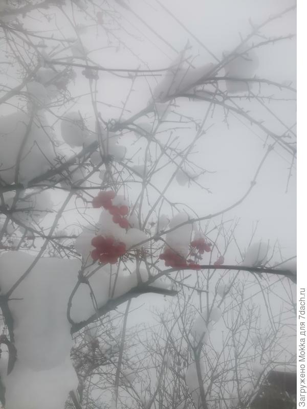 Красное и белое