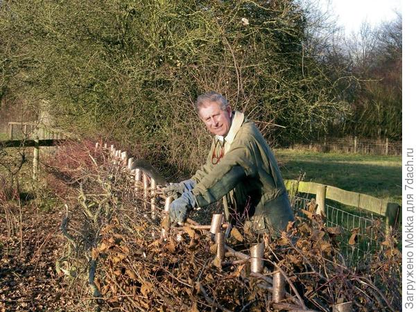 Действительно...