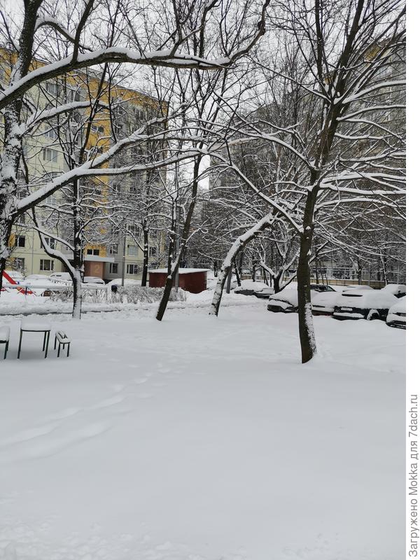 Сугробы опять.