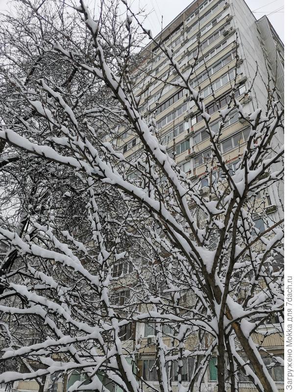 Весна говорите?