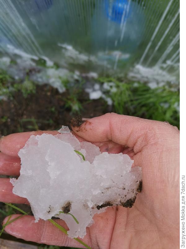 Град. 09 мая.