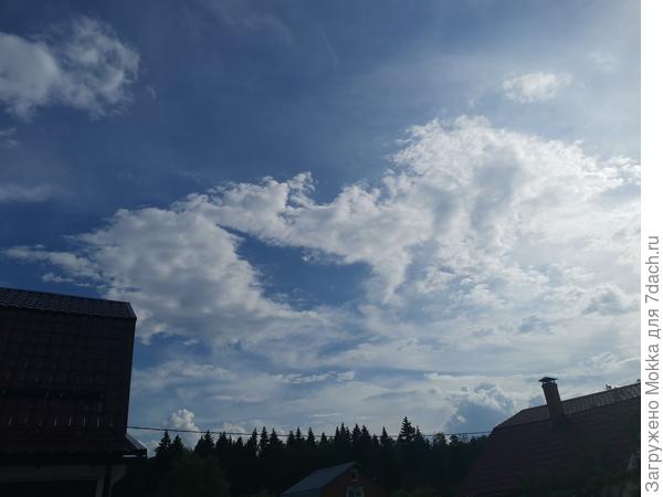 От улыбки станет всем светлей