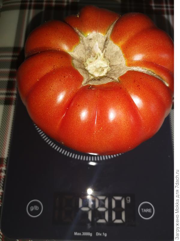 Мне далеко до профессионалов, но для меня это отличный результат, я считаю.