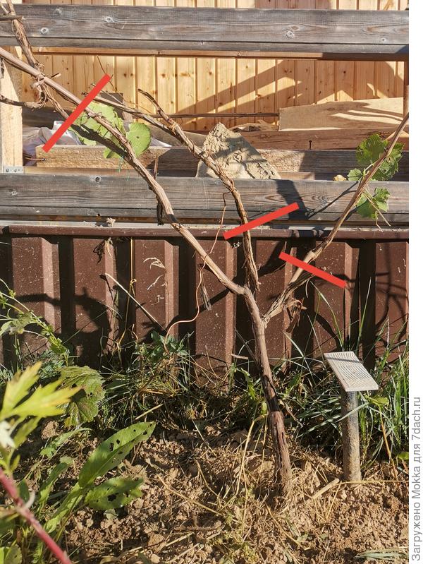 Оставила левую