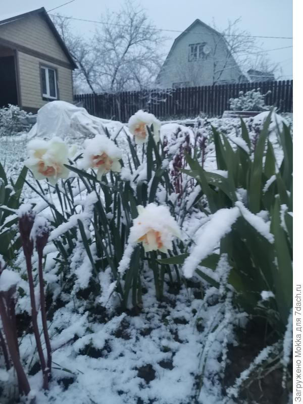 Вот такой вот май