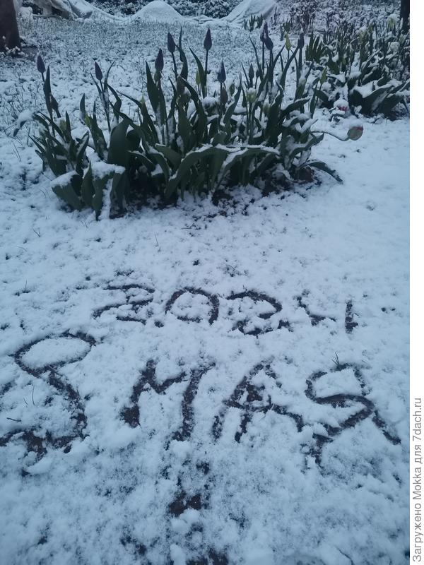 8 мая = 67 февраля