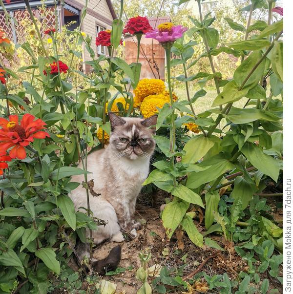 Так не хочется уезжать из лета...