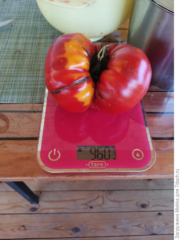 Бычье сердце